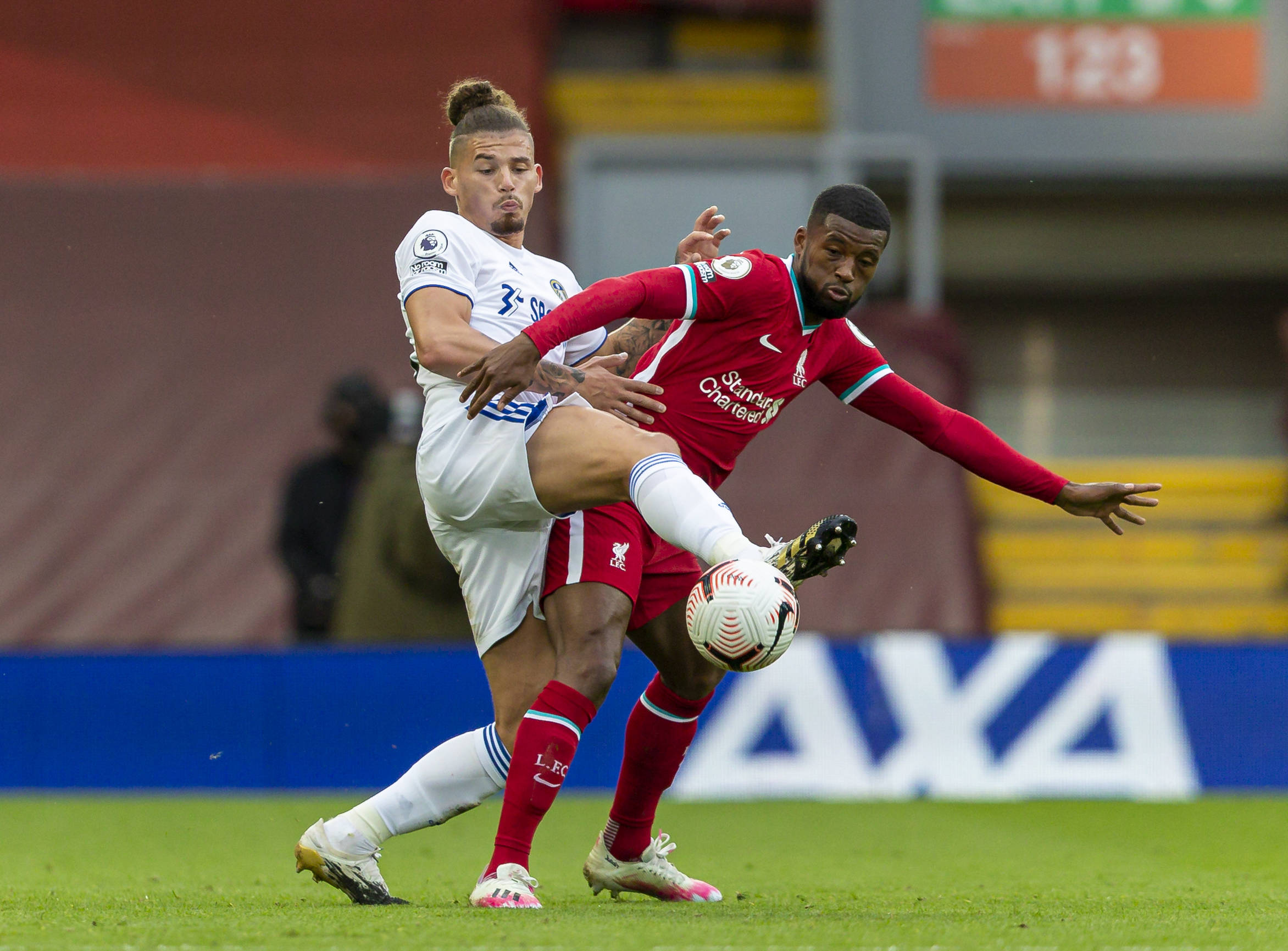 的伟大不仅 的伟大不仅